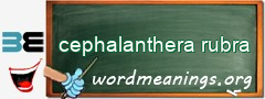 WordMeaning blackboard for cephalanthera rubra